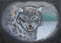 Le Loup