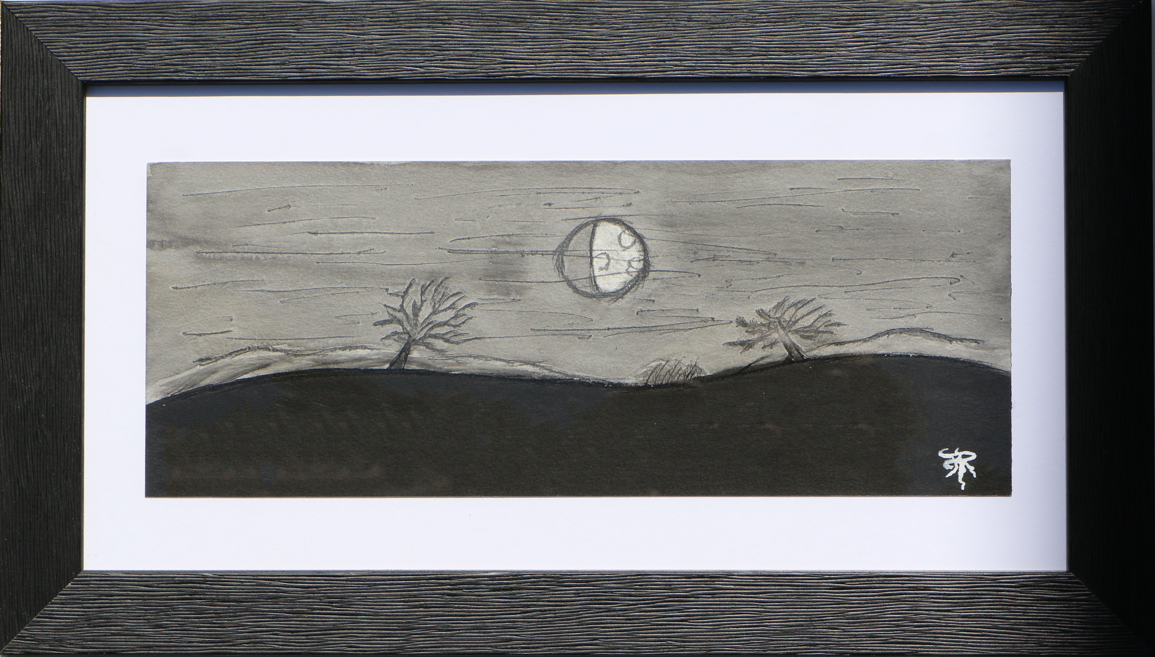 Paysage 1